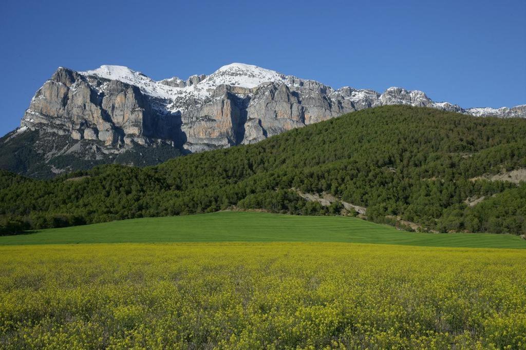 Hostal Pirineos אינסה מראה חיצוני תמונה