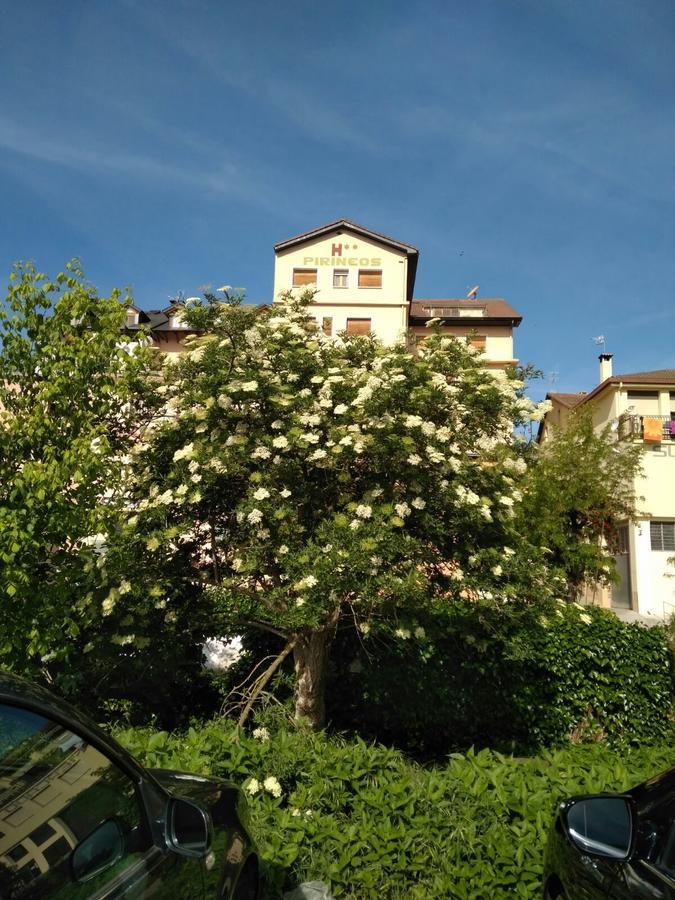 Hostal Pirineos אינסה מראה חיצוני תמונה